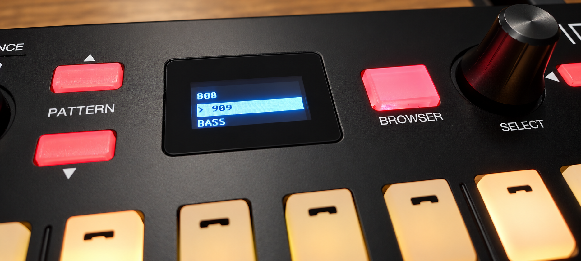 Fire controller sample browser displaying the 808, 909 and BASS folders